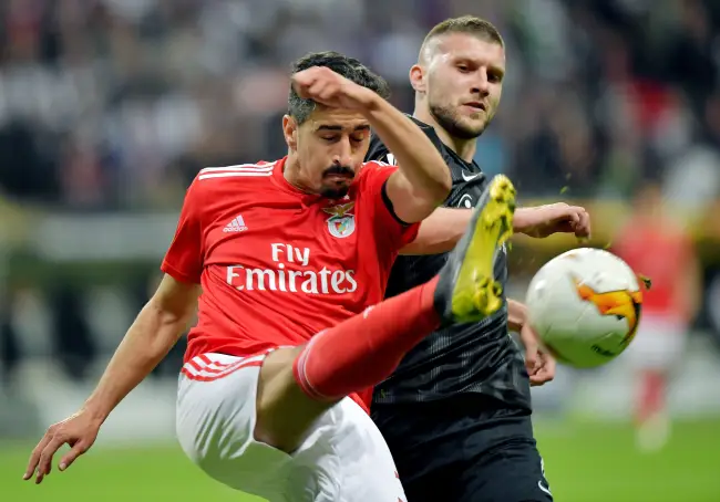 Andre Almeida, Benfica Lissabon, Primeira Liga Wett Tipp, Liga Portugal Prognose, Vorhersage