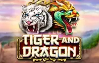 Tiger and Dragon Logo