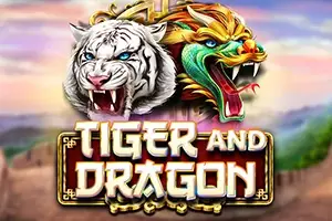 Tiger and Dragon Logo