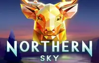 Northern Sky Logo