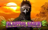 Martial Eagle Logo