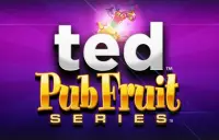 Ted Pub Fruit Series Logo