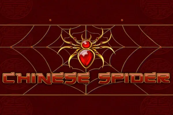 Chinese Spider Logo