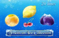 Fruits On Ice Collection 20 Lines Logo