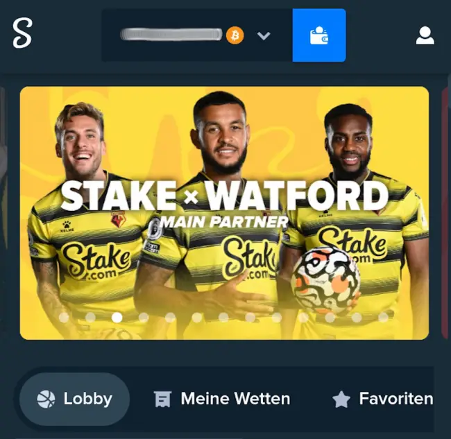 Stake Guthabenübersicht