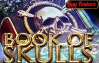 Book Of Skulls Logo
