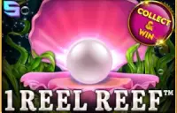 1 Reel Reef Logo