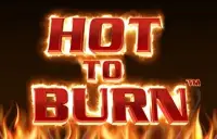 Hot to Burn Logo