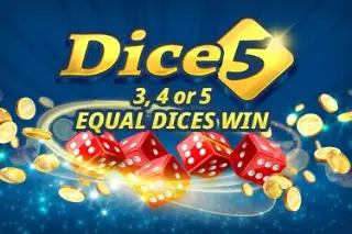 Dice 5 Logo