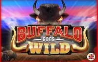 Buffalo Goes Wild Logo