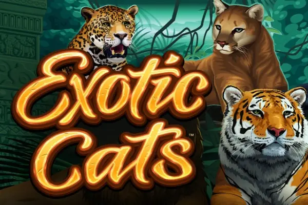 Exotic Cats Logo