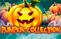 Pumpkin Collection Logo