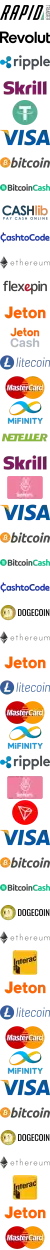 Rapid Transfer Logo