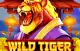 Wild Tiger Logo