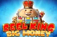 Reel King Big Money Logo