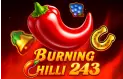 Burning Chilli 243 Logo