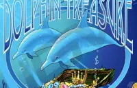 Dolphin Treasure Logo