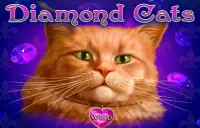 Diamond Cats Logo