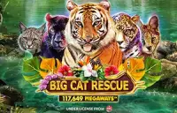 Big Cat Rescue Megaways Logo