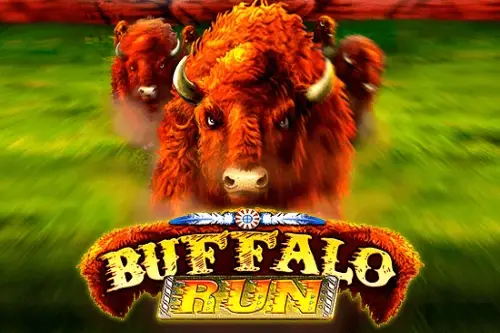 Buffalo Run Logo