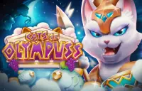 Cats of Olympuss Logo
