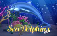 Sea Dolphins Luxe Logo