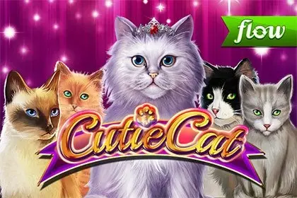 Cutie Cat Logo