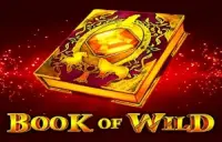 Book of Wild Logo