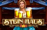 Stein Haus Logo