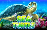 Sea Turtle Logo