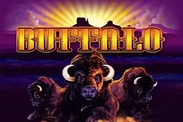 Buffalo Logo