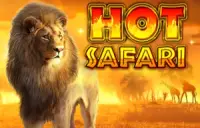 Hot Safari Logo