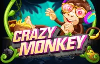 Crazy Monkey Logo