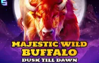 Majestic Wild Buffalo - Dusk Till Dawn Logo