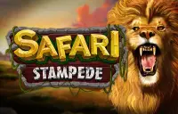 Safari Stampede Logo