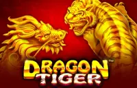Dragon Tiger Logo